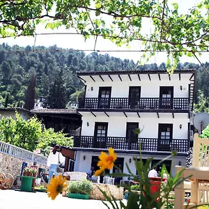  Auberge de jeunesse Maya Albanie